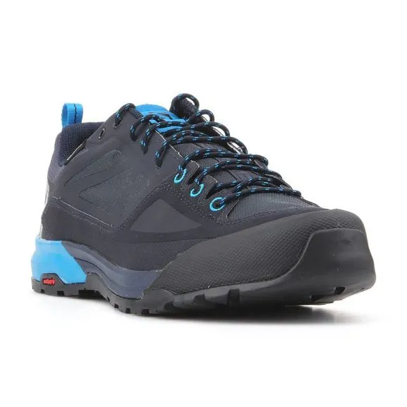 Salomon X Alp Spry Gtx M 401620 schoenen marineblauw blauw