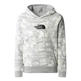 Trui The North Face Boys Drew Peak Light Pullover Hoodie Meld Grey TNF Brand Proud Print